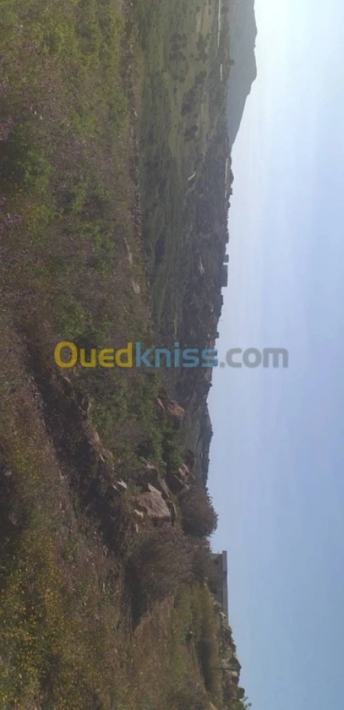 Vente Terrain Tizi ouzou Tigzirt