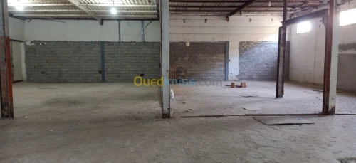 Location Usine Tlemcen Tlemcen