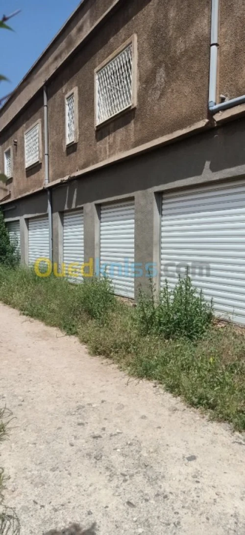 Location Usine Tlemcen Tlemcen