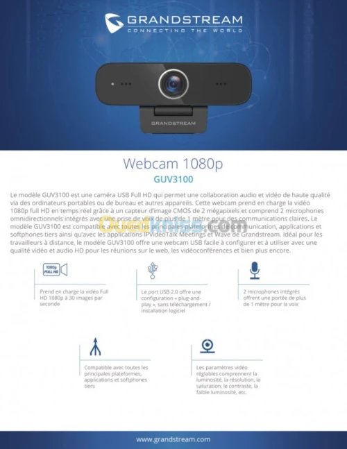 Webcam