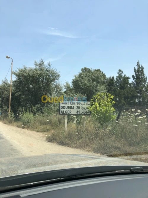 Location Hangar Alger Zeralda