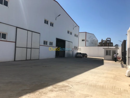 Location Hangar Alger Zeralda