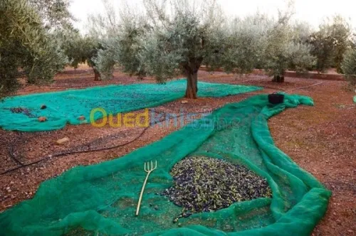 Filet récolte des olives 30m × 3m 