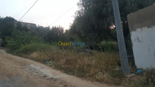 Vente Terrain Tlemcen Tlemcen
