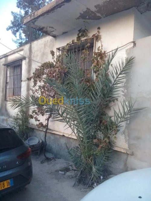Vente Villa Blida Bougara