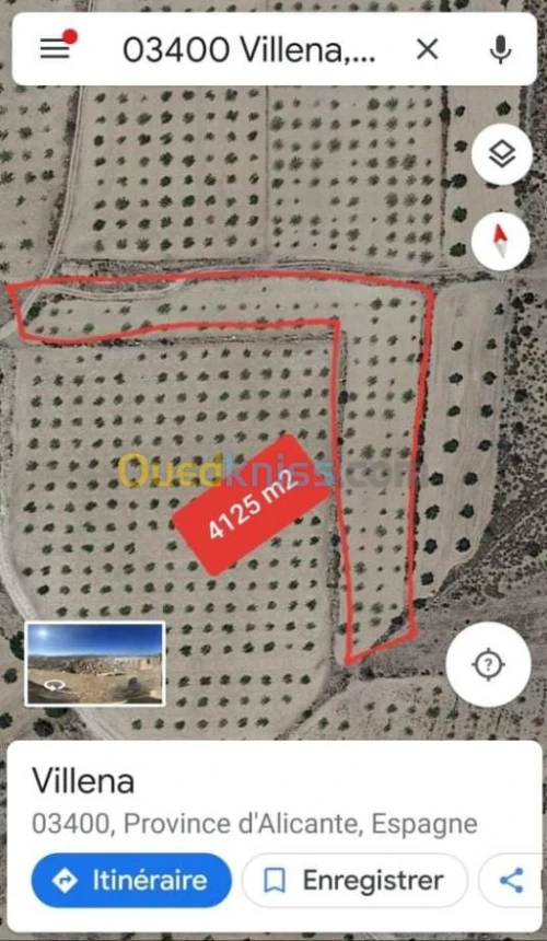 Vente Terrain Agricole Espagne