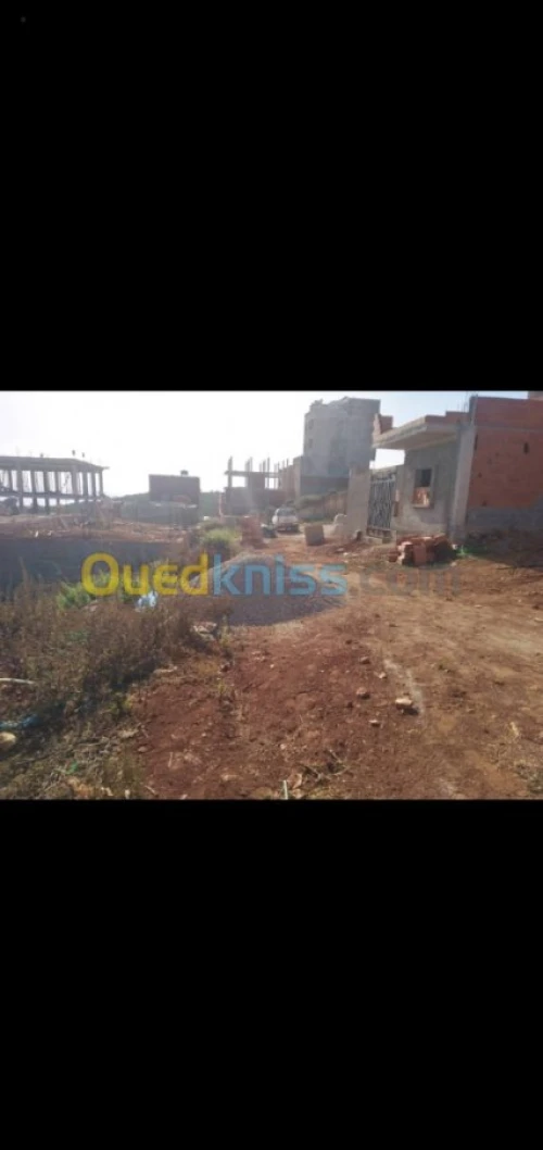 Vente Terrain Tlemcen Marsa ben mhidi