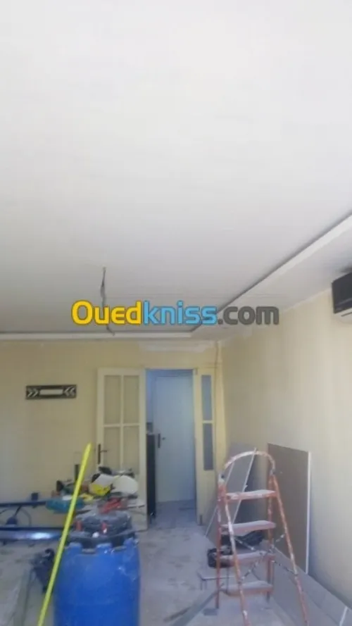 placoplatre