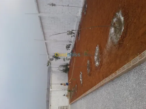 Travaux de jardinage