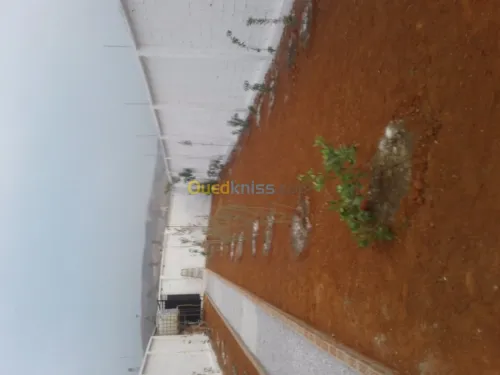 Travaux de jardinage