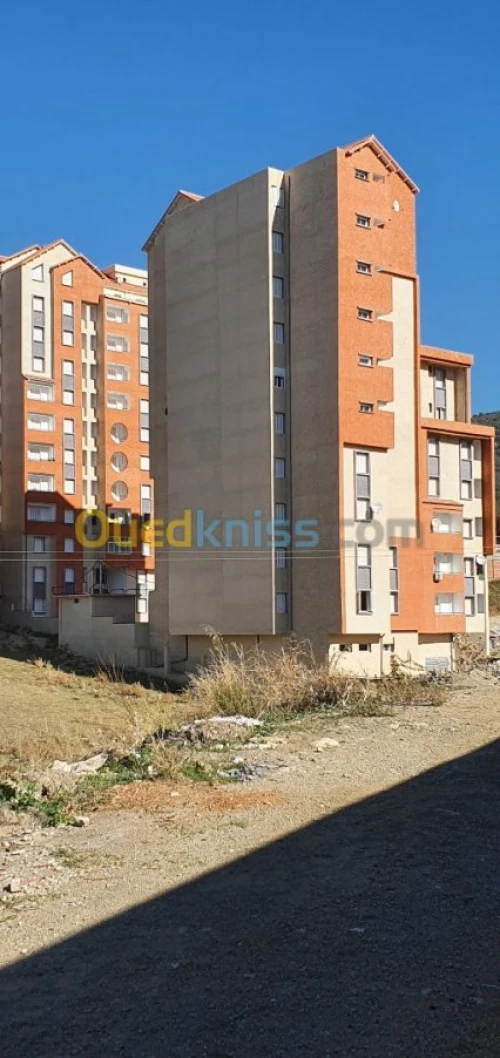 Réalisation de type de bâtiment en TCE