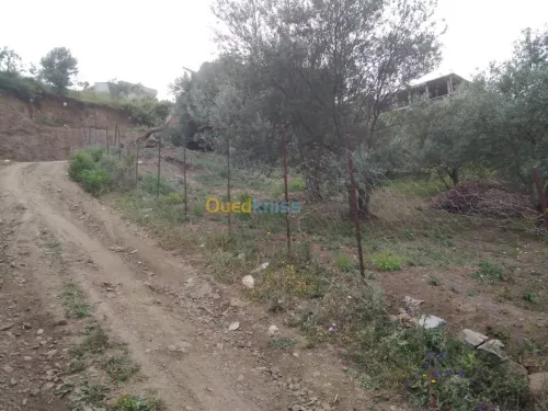 Vente Terrain Bejaia Bejaia