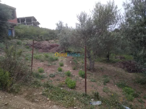 Vente Terrain Bejaia Bejaia