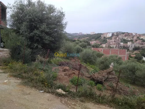 Vente Terrain Bejaia Bejaia