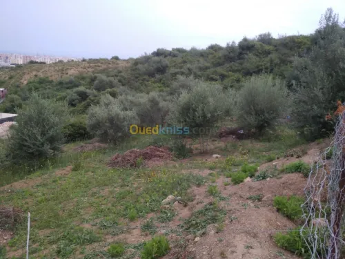 Vente Terrain Bejaia Bejaia
