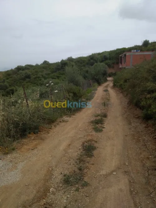 Vente Terrain Bejaia Bejaia