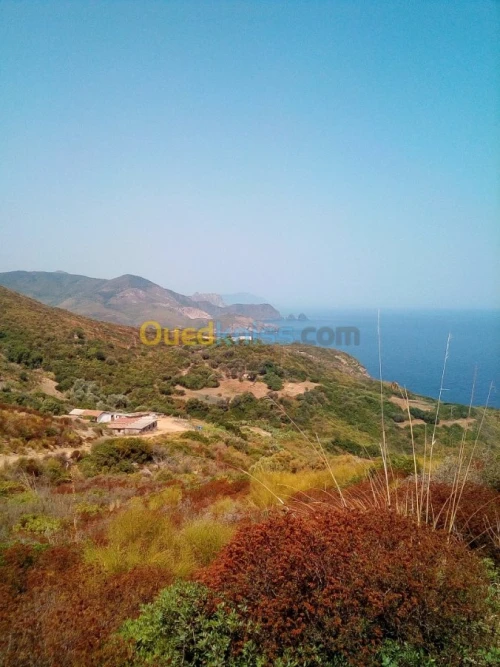 Vente Terrain Annaba Annaba