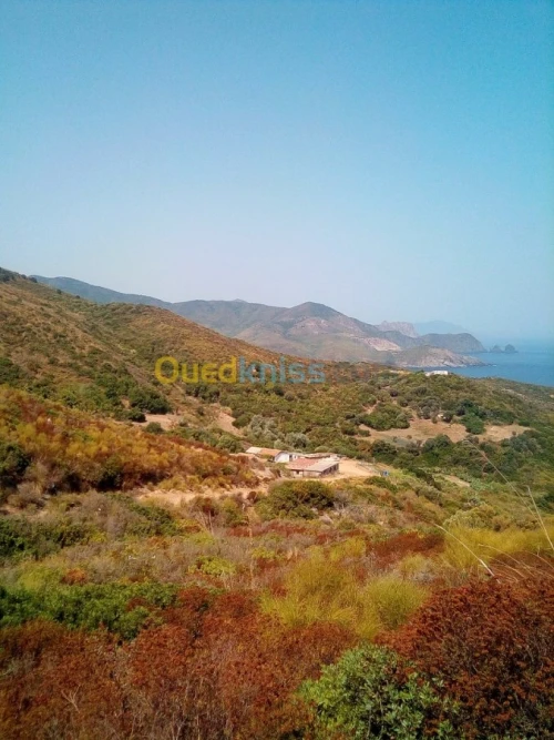 Vente Terrain Annaba Annaba