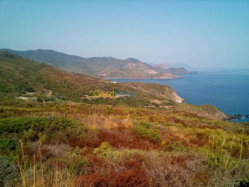 Vente Terrain Annaba Annaba