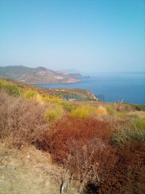 Vente Terrain Annaba Annaba