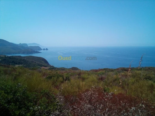 Vente Terrain Annaba Annaba