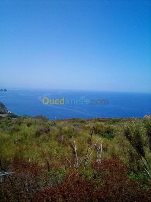 Vente Terrain Annaba Annaba