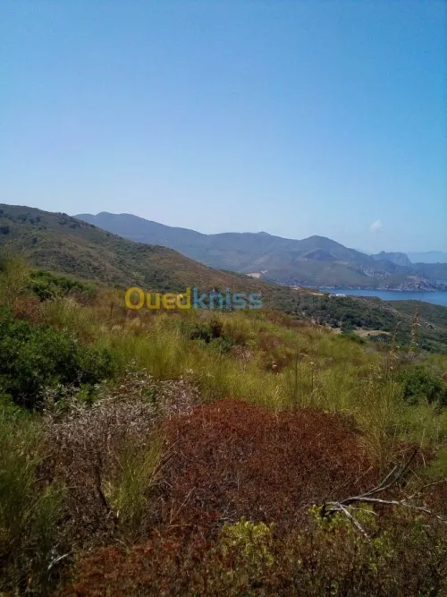 Vente Terrain Annaba Annaba