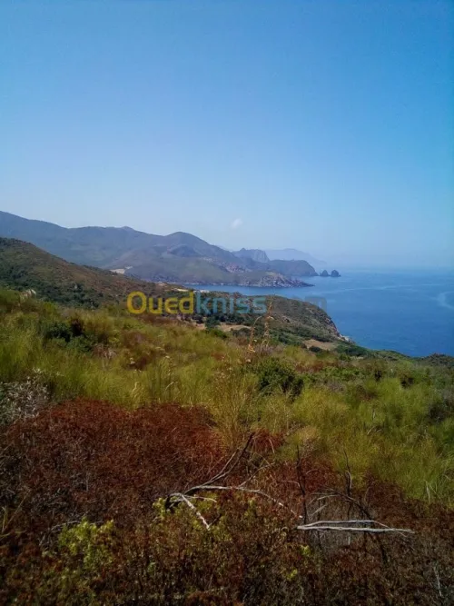 Vente Terrain Annaba Annaba