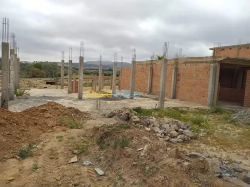 Vente Terrain Sidi bel abbes Sidi ali benyoub