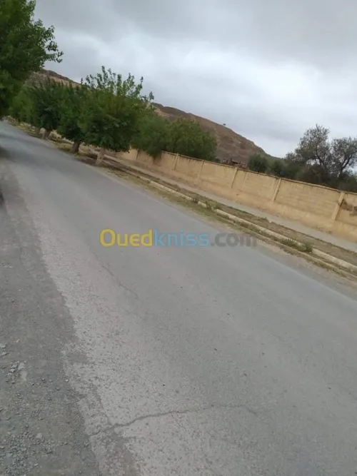 Vente Terrain Sidi bel abbes Sidi ali benyoub