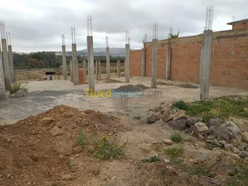 Vente Terrain Sidi bel abbes Sidi ali benyoub