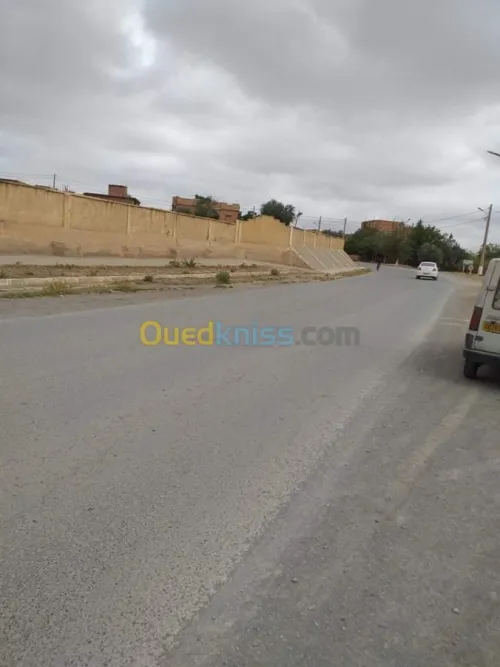 Vente Terrain Sidi bel abbes Sidi ali benyoub