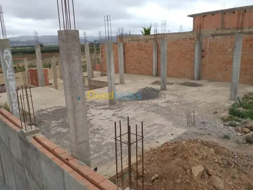 Vente Terrain Sidi bel abbes Sidi ali benyoub