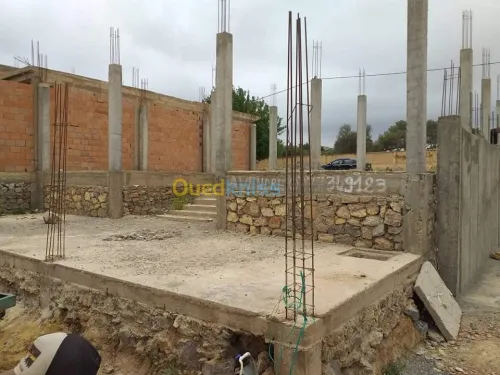 Vente Terrain Sidi bel abbes Sidi ali benyoub