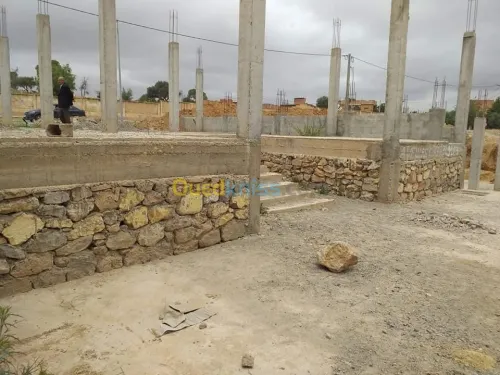 Vente Terrain Sidi bel abbes Sidi ali benyoub