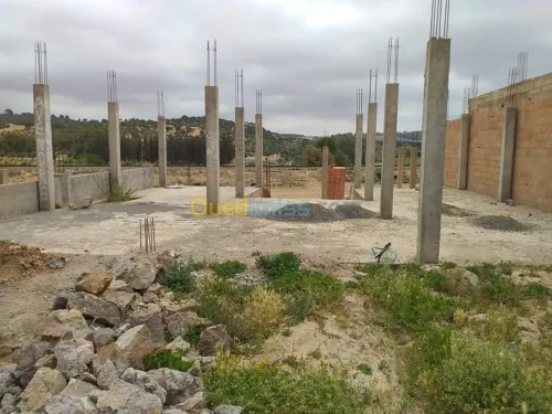 Vente Terrain Sidi bel abbes Sidi ali benyoub