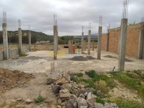 Vente Terrain Sidi bel abbes Sidi ali benyoub