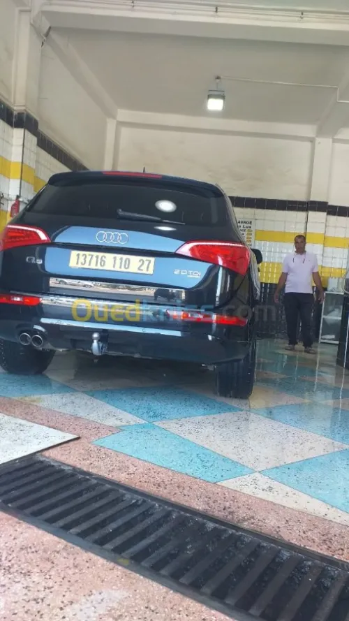 Audi Q5 2010 