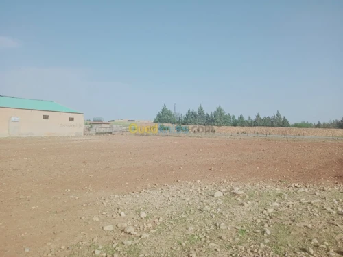 Location Hangar Batna Ouyoun el assafir