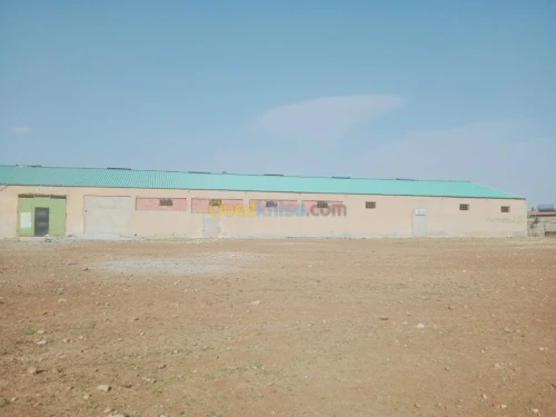 Location Hangar Batna Ouyoun el assafir