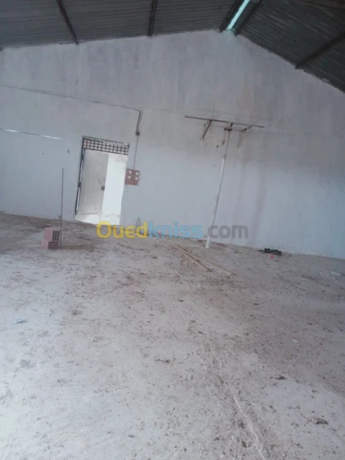 Location Hangar Batna Ouyoun el assafir