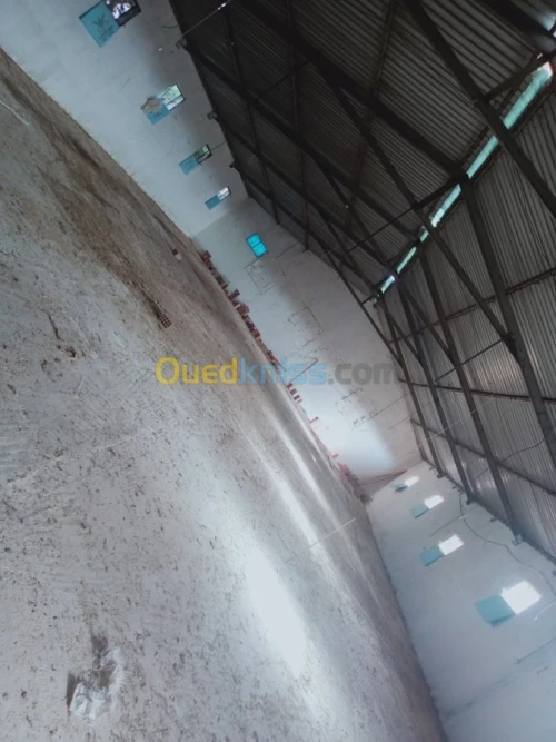 Location Hangar Batna Ouyoun el assafir