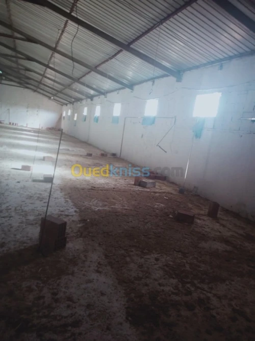Location Hangar Batna Ouyoun el assafir