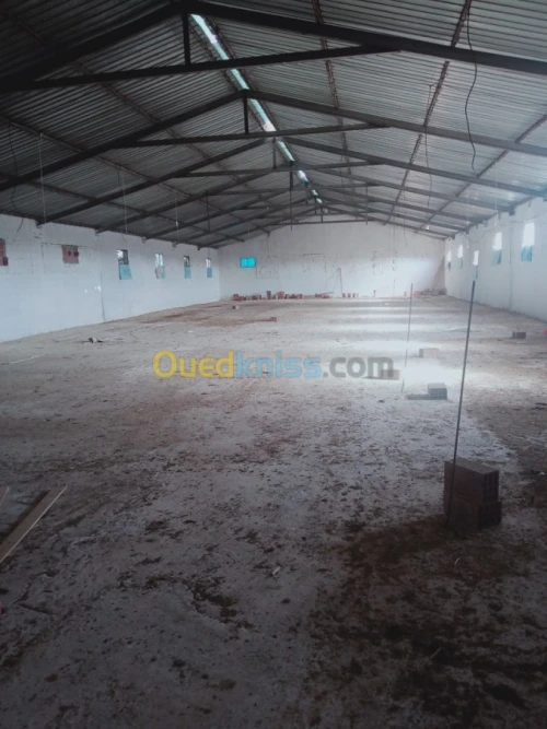 Location Hangar Batna Ouyoun el assafir