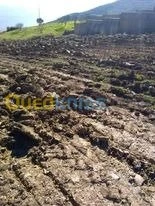 Vente Terrain Agricole Bejaia Chelata