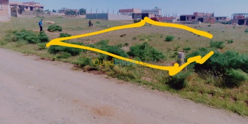 Vente Terrain Tlemcen Honaine