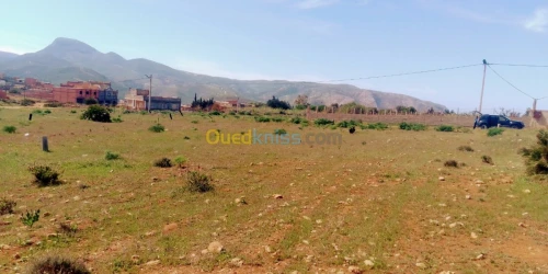 Vente Terrain Tlemcen Honaine