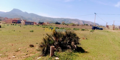 Vente Terrain Tlemcen Honaine