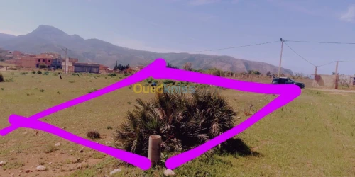 Vente Terrain Tlemcen Honaine