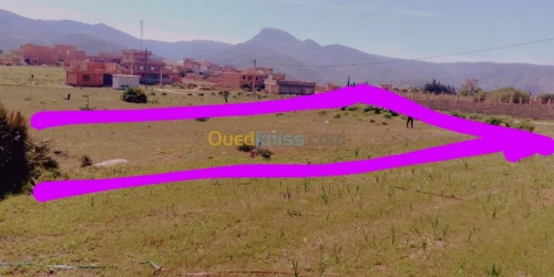 Vente Terrain Tlemcen Honaine